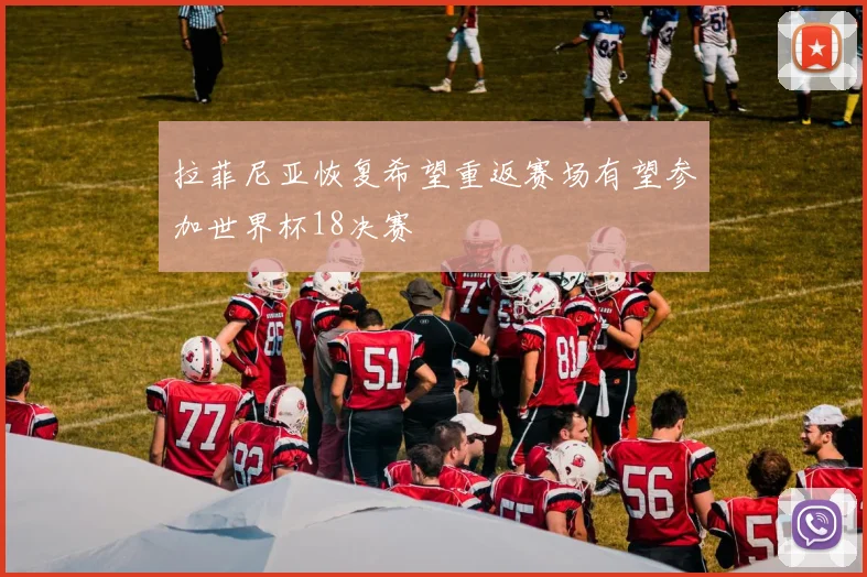 拉菲尼亚恢复希望重返赛场有望参加世界杯18决赛