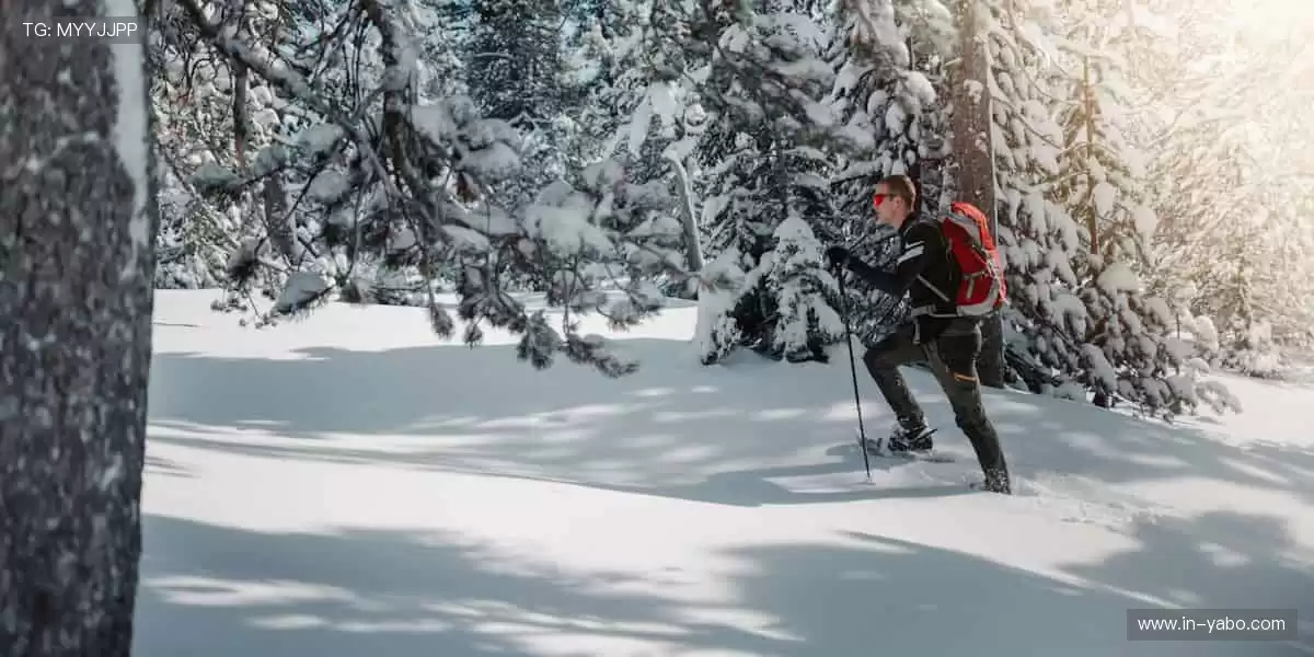 📺随时随地，赛事直播永不缺席！📱